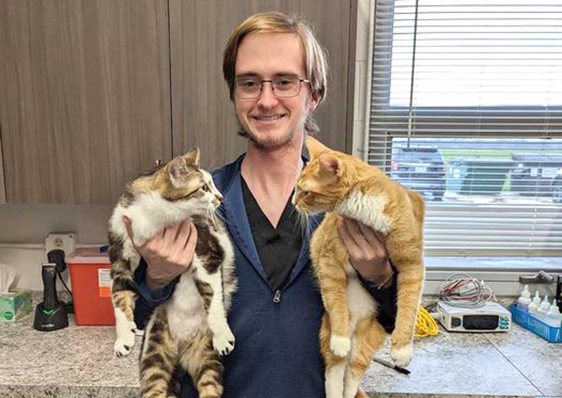 Carousel Slide 4: Feline veterinary care